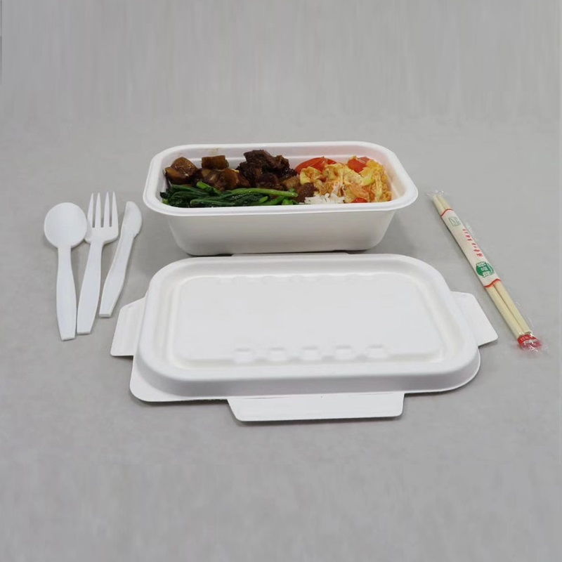 1000 ML Bagasse فوڈ کنٹینر
