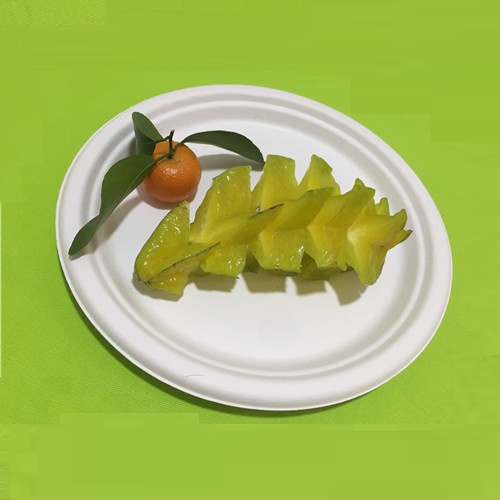 ماحول دوست دسترخوان