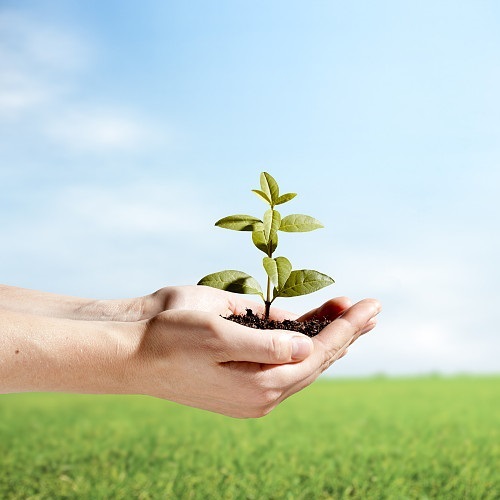 عالمی یوم ماحولیات