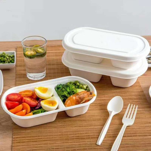 گنے کی تھیلی کی مصنوعات