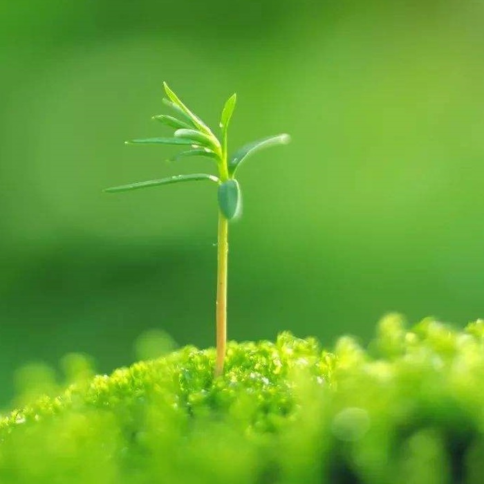 زیامین، چین میں پلاسٹک کی حد