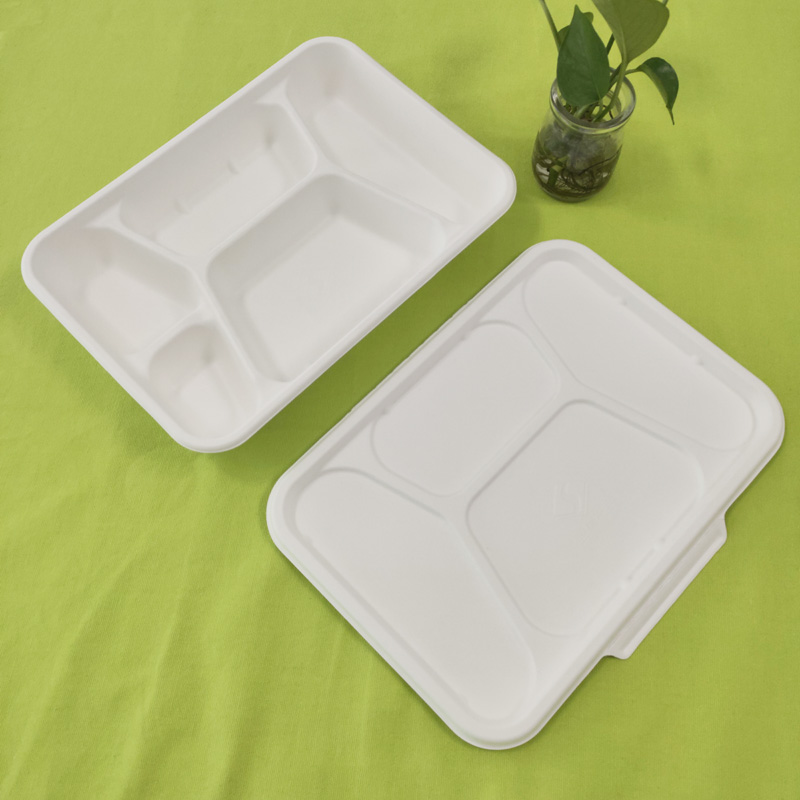 ڑککن کے ساتھ bagasse 5 ٹوکری ٹرے