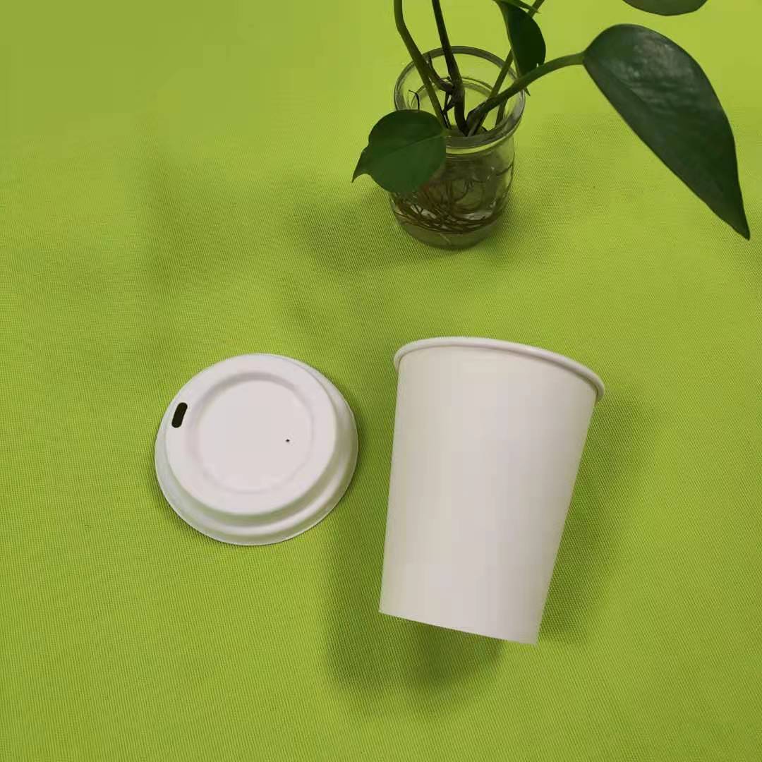 bagasse pulp tableware کے بارے میں مزید معلومات