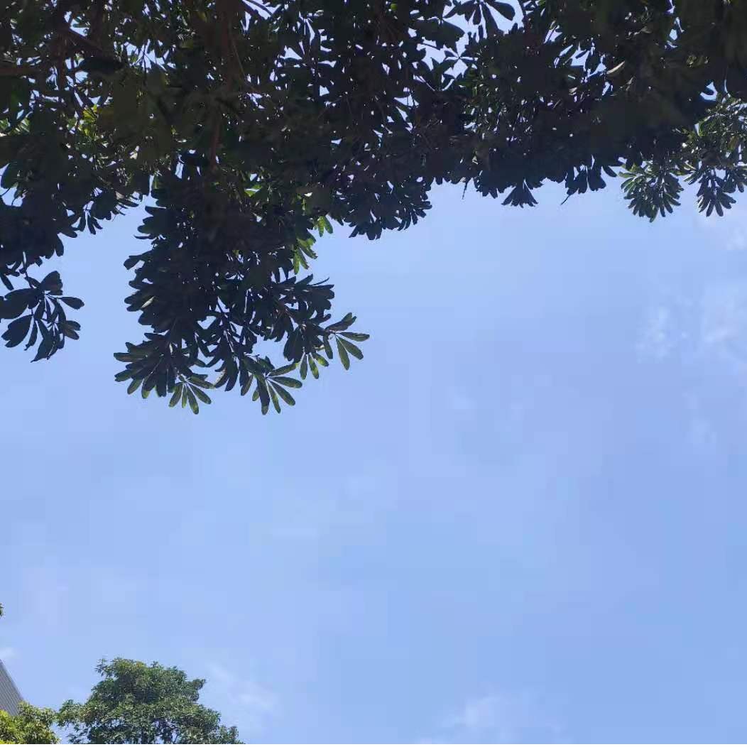 زمین کا عالمی دن