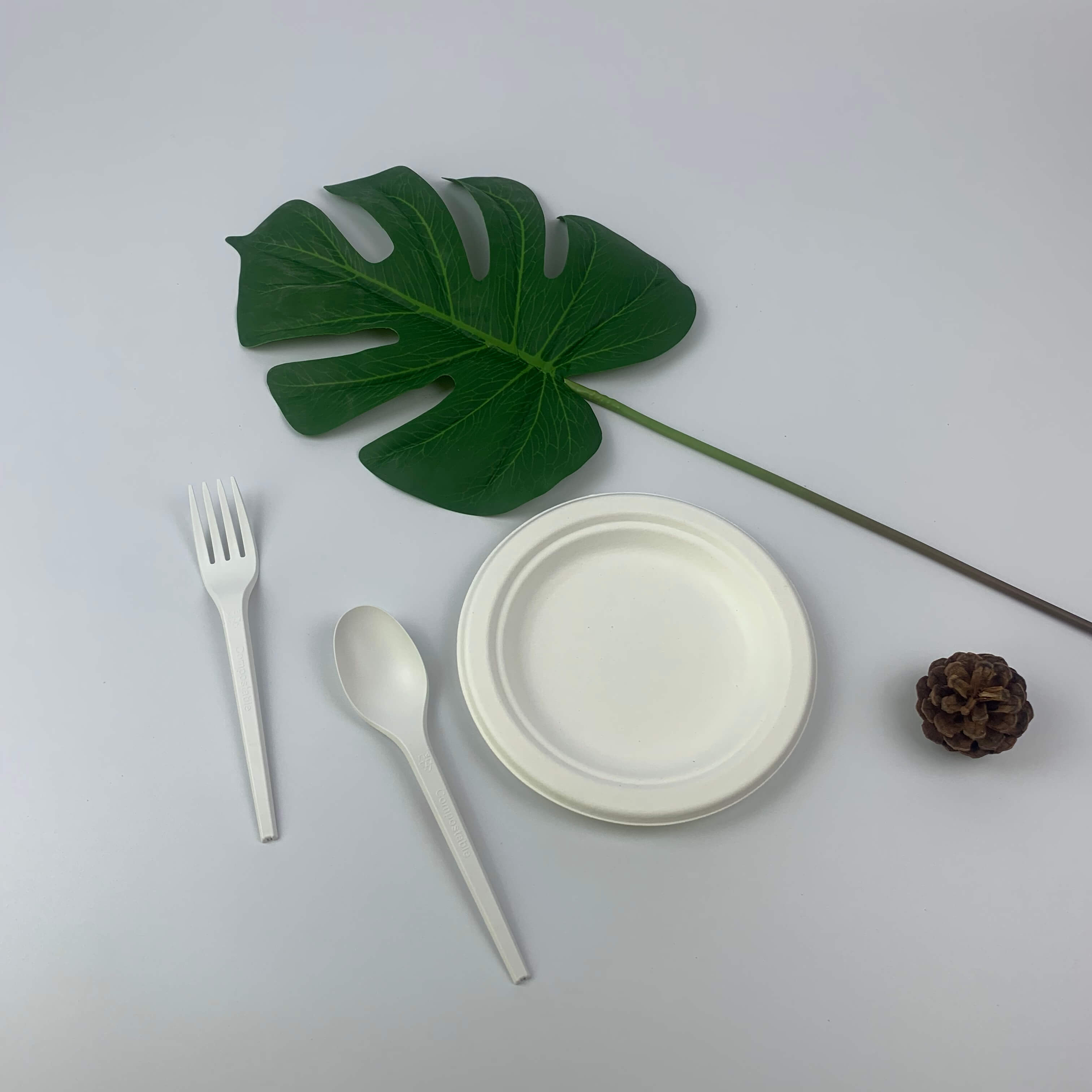 Bagasse ایک ماحول دوست مواد کے طور پر استعمال کیا جاتا ہے