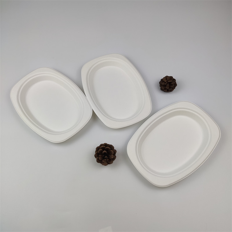 بیگاس اوول پلیٹ 9'' x 6''